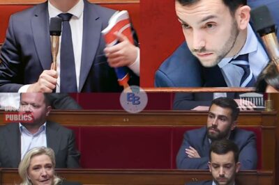 SCANDALE À L’ASSEMBLÉE : Un Député Pète les Plombs et Lance une Insulte Dévastatrice à Jean-Philippe Tanguy en Plein Débat Budgétaire !