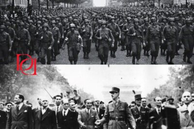 Comment La Résistance Française A Libéré Paris Avant L’Arrivée Des Alliés