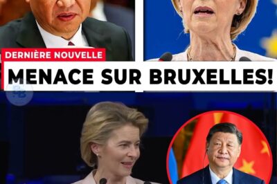 COLÈRE EXPLOSIVE : L’UE Franchise la Ligne Rouge de Pékin, la Chine Réplique en Éteignant l’Économie Française