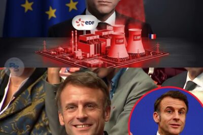 LE SABOTAGE D’UN GÉANT : COMMENT EDF, JOYAU NUCLÉAIRE FRANÇAIS, A ÉTÉ DÉTRUIT AU NOM DE LA CONCURRENCE