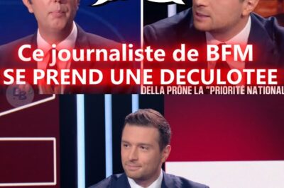 IMMIGRATION : LE FACE-À-FACE EXPLOSIF QUI A LAISSÉ LE JOURNALISTE DE BFM SANS VOIX FACE À JORDAN BARDELLA