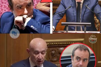La « Folie Fiscale » Dénoncée : Le Sénateur Qui a Glacé le Premier Ministre avec la Fable Choc de la Vache de Zuc