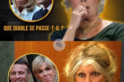 BRIGITTE BARDOT, 91 ANS, FRACASSE L’ÉLYSÉE : « LA LAIDEUR RÈGNE EN FRANCE », LE CRI D’UNE CONSCIENCE CONTRE L’INDIFFÉRENCE SYSTÉMIQUE