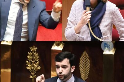 SCANDALE EN DIRECT : L’Assemblée Nationale Refuse de Supprimer la Niche Fiscale des Élus, Montchalin Embarrassée par le Député Tanguy.