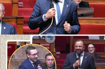 SCANDALE À L’ASSEMBLÉE : UN DÉPUTÉ BALANÇE LA « MAGOUILLE » DES NICHES FISCALES ET ACCUSE LES ÉLUS DE CHOIR L’ÉLITE MÉDIATIQUE