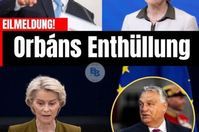 VERHAFTET URSULA VON DER LEYEN! Die Enthüllungen aus Budapest, die das Herz der Europäischen Union zerreißen