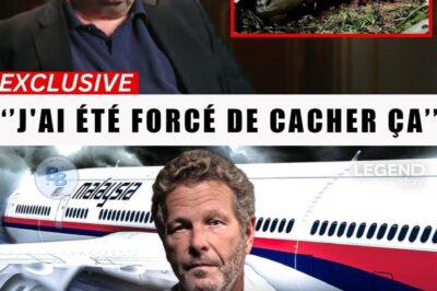 MH370 : Un Ingénieur à la Retraite Affirme Détenir la Localisation Exacte de l’Épave Grâce à un Signal « Invisible »