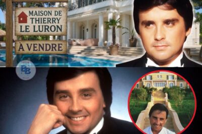L’Amour Banni, l’Héritage Oublié : Les Secrets Douloureux et la Fortune Dispersée de Thierry Le Luron
