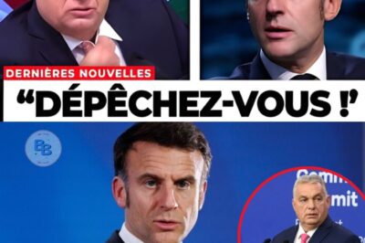 L’Avertissement Cataclysmique d’Orbán aux Français: “Votre Nation s’écroule de l’intérieur, le chaos arrive!”