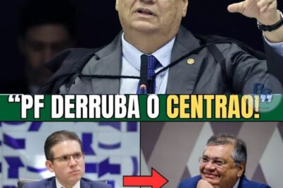BRASÍLIA EM ESTADO DE CHOQUE: A OPERAÇÃO SECRETA QUE EXPÔS 92 DEPUTADOS, DEIXOU FLÁVIO DINO FURIOSO E REVELA SEGREDOS INCRÍVEIS – TODOS OS DETALHES SURPREENDENTES ESTÃO NOS COMENTÁRIOS!