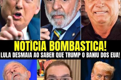 O Que Vazou da ‘Sala Proibida’ Mudou Tudo! Confronto Secreto entre Lula e Trump na Cúpula da Indonésia Termina em Descontrole Total, Abalando a Comitiva Brasileira!