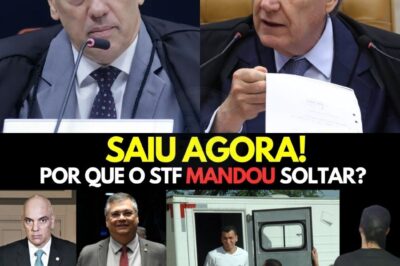 STF TOMA DECISÃO INÉDITA MANDA SOLTAR E SITUAÇÃO FICA INSUSTENTÁVEL