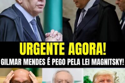 URGENTE! STF CONFIRMA: GILMAR MENDES ACABA DE CAIR NA LEI MAGNITSKY! BRASIL EM CHOQUE!