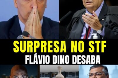 ÚLTIMA HORA! FLÁVIO DINO DESMAIA: MAGNITSKY NÃO TEM VOLTA