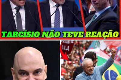 FIM DO SONHO DO GADO!!! ENQUANTO LULA E XANDÃO CELEBRAM A VITÓRIA, BOLSONARISTAS ENTRAM EM COLAPSO!