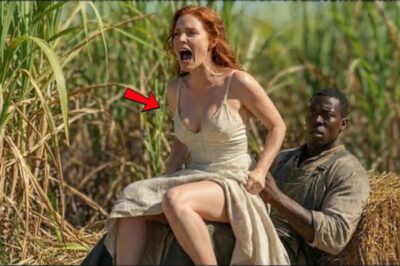 Ela subiu em cima dele e começou a gritar: O marido abaixou a arma quando viu isso.