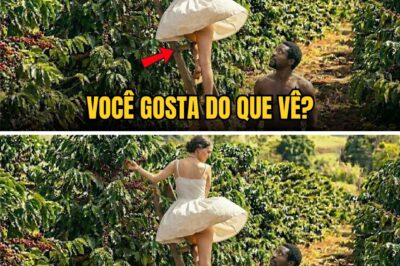 A SENHORA QUE PROVOCOU O ESCRAVO: O Jogo Perigoso na Plantação de Café — ela queria ser vista