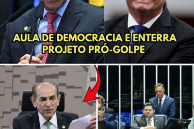 🔥Marcelo Castro dá aula de democracia e enterra projeto pró-golpe no Senado