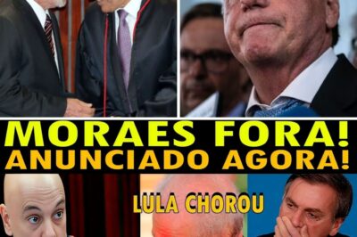URGENTE! A CASA CAIU PARA M0RAES E LULA! SENADO ACORDOU FORA AGORA! BOLSONARO AGRADECE!