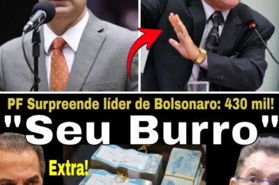 EXTRA! PF: TOC TOC TOC NATALINO EM LÍDER DE BOLSONARO! SOSTENES MALAFAIA: “430 MIL FOI PAPAI NOEL”!